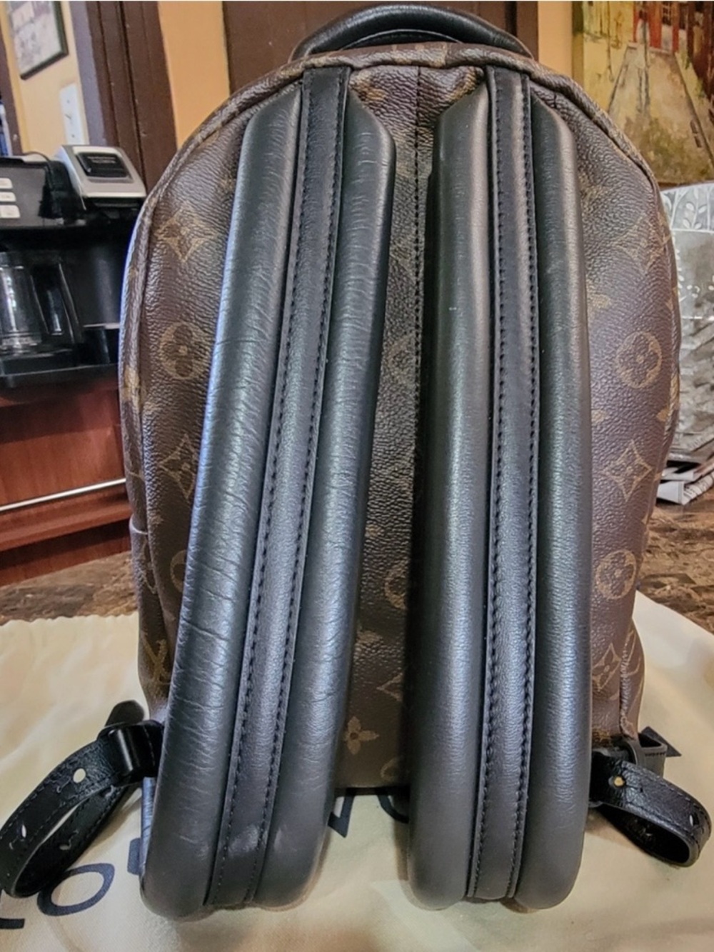 Louis Vuitton Palm Springs PM Backpack Monogram Canvas Brown Timeless Gift - Picture 11 of 15